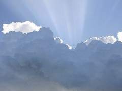 [1차 수정] [ 이지후 / 17 / XY / 응급처치 ]