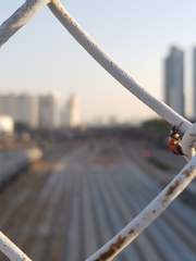 각 광산에는 개미가 탈출할 수 있도록 삽을 비치할 것