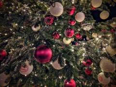 [민뷔] 딸기의 겨울