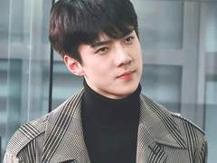 표현 불능의 발달 단계 17