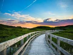 각자의 해피엔딩. 00