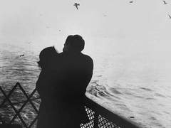 드림커플 20문답