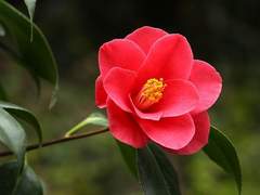 당신을 놓아줄 시간