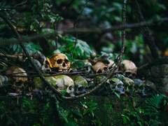 더 나은 미래를 위한, 위대한 내딛음.