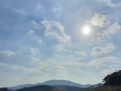 꽃의 죽음 外. IF 한여름