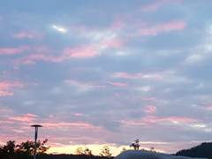 꽃의 죽음 外. IF 쇼타의 기일