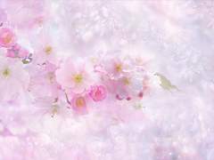 겨우살이 아래에서