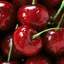 ♥cherry♥