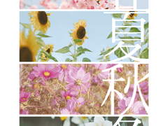 [사쿠사토] 사계