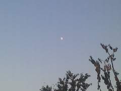 꽃의 죽음 3부(3 - 1)