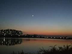 꽃의 죽음 外. IF 체인지(하숙집 편)