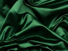 피스트리스 라르바/슬리데린