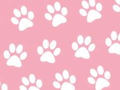 [고죠게토] 이름 없는 고양이