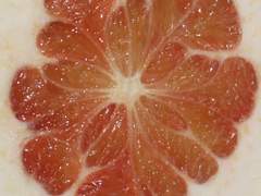 절취선은 벗어날 수 있는가