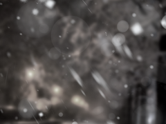 크리스마스 계연하는 ㄾㄾ(2)