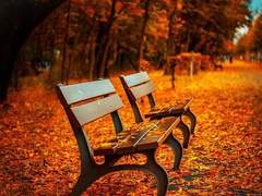 [레이카오] 당신의 계절 -2-