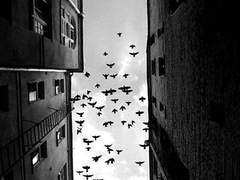 스토리제 공지.