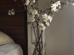 추운 겨울 끝자락에 태어난