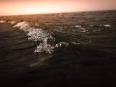 게스트북 글 Sample