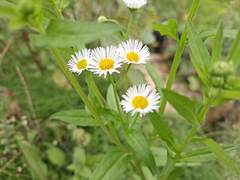 장남인 내가 너희들에게 2.