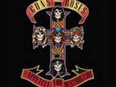 Welcome to the jungle!