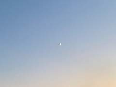 [히이린]스크램블 에그의 정의02