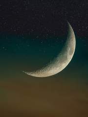 아르테미스 이야기