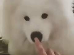 며니네 민박 完