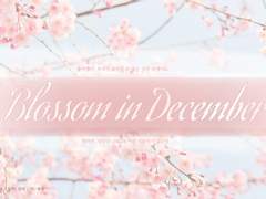 Blossom in December