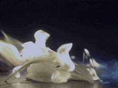 사라지는 과정은 힘들겠지만