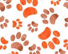 [고죠게토] 이 몸은 고양이야