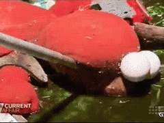 트위터 계정이 다 썰릴 뻔 했어요...