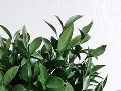 [ 현예 ] 그리고 시골 소년 上