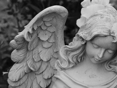 [맥한조] 내가 지켜줄게