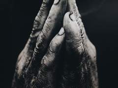 [칼라애런]방주