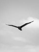 [다각] 단편 모음