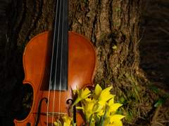 [로오히][조슈바네] 화풀이