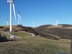 STAR: 행복할줄 알았는데 00