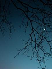 짧은 대화의 나열