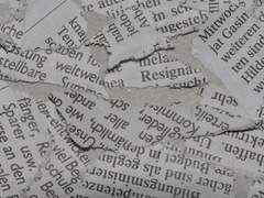 위엔 야네이, 한심한 바보.