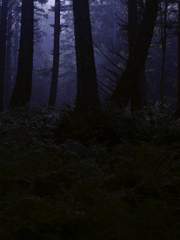 旦竢傳稿 (단사전고)