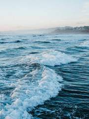 아라시 (회지 웹공개_유료)