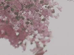 책의 문이 열리면 02