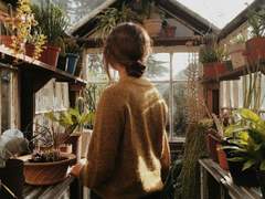 𝑨𝒓𝒊𝒂 𝑾𝒊𝒍𝒍𝒐𝒘