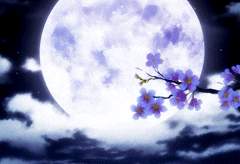 Luna.Ｅ.Reynolds / 28 / 미술선생님