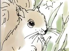 [단편] 무언가를 살리는 이유