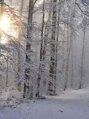 [주술회전] 그렇지만, 그래도