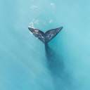 1자 이상 40자 이내