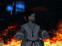 새싹의 파판일기 8