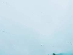 삶, 그리고 어떤 고민.